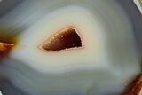 Polished Brazilian Banded Agate Section #326686-1